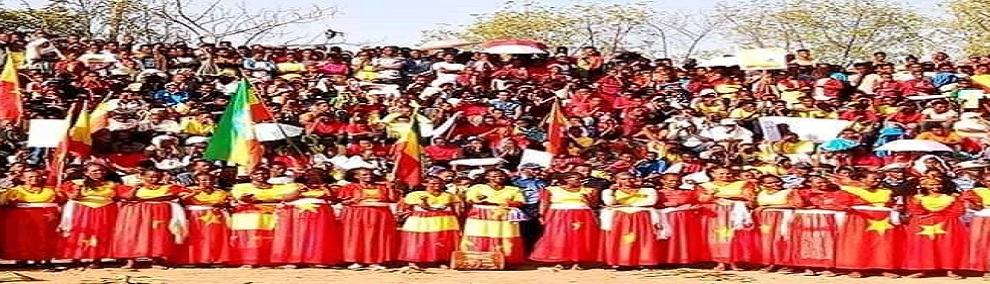 ለካቲት 11 እንትኽበር...